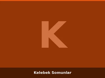 Kelebek Somunlar
