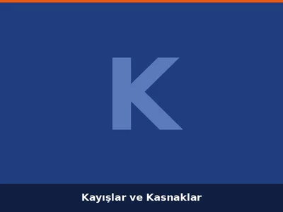 Kayışlar ve Kasnaklar