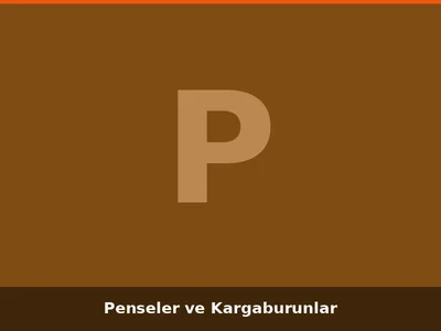 Penseler ve Kargaburunlar