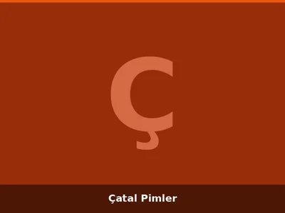 Çatal Pimler