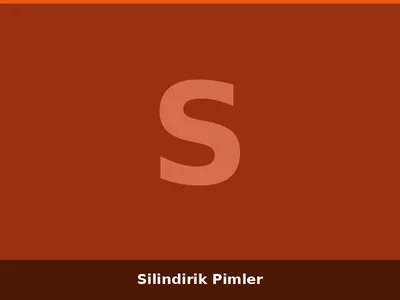 Silindirik Pimler