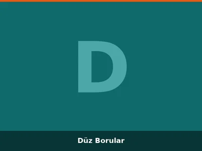 Düz Borular