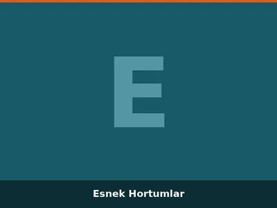 Esnek Hortumlar
