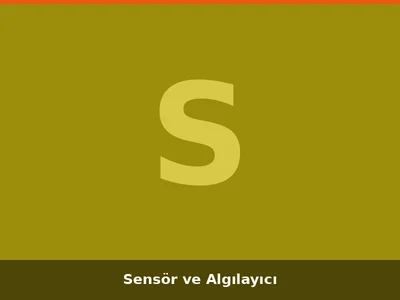 Sensör ve Algılayıcı
