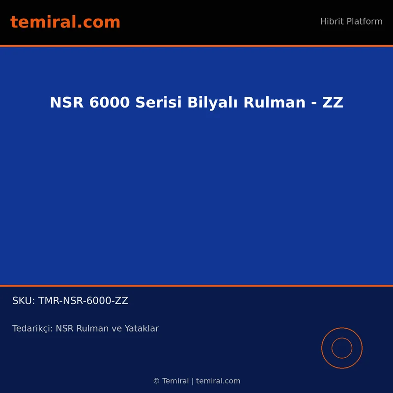 NSR 6000 Serisi Bilyalı Rulman - ZZ
