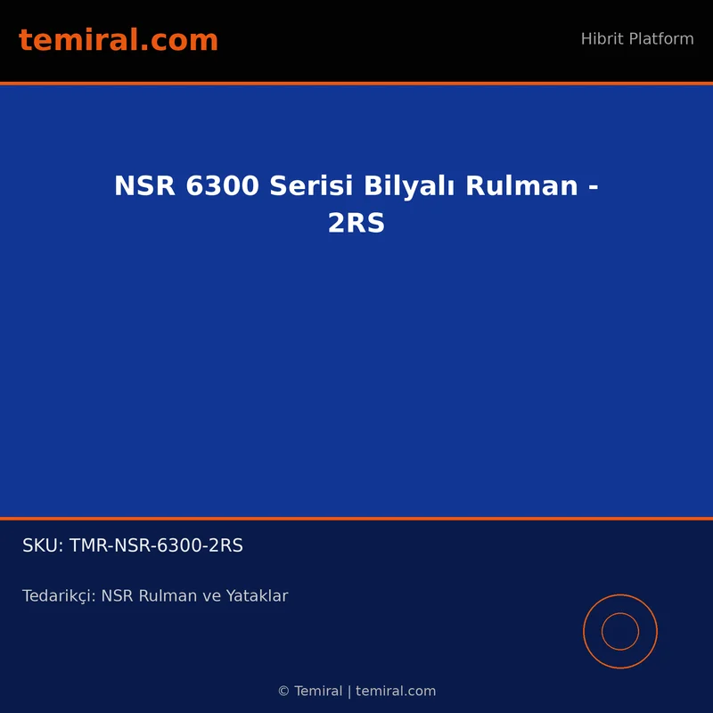 NSR 6300 Serisi Bilyalı Rulman - 2RS