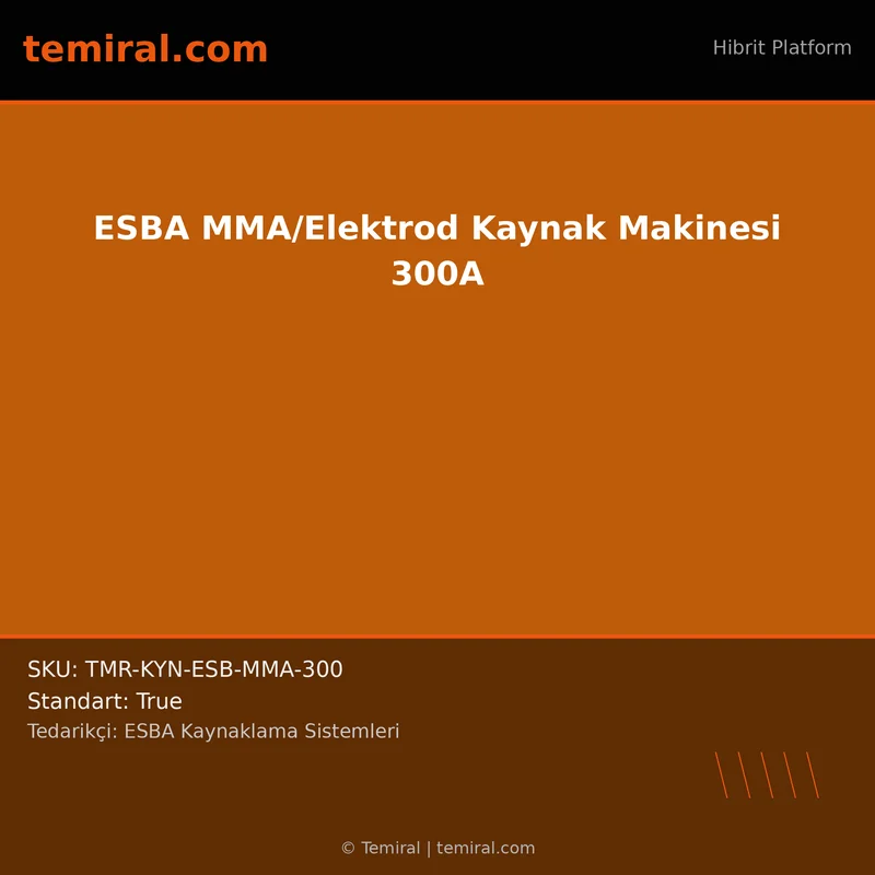 ESBA MMA/Elektrod Kaynak Makinesi 300A
