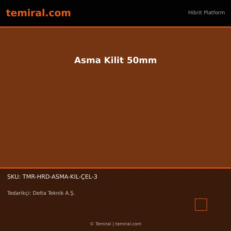 Asma Kilit 50mm