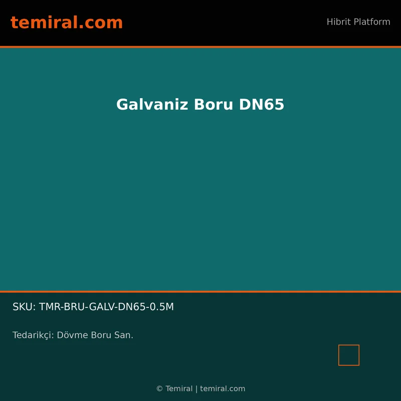 Galvaniz Boru DN65