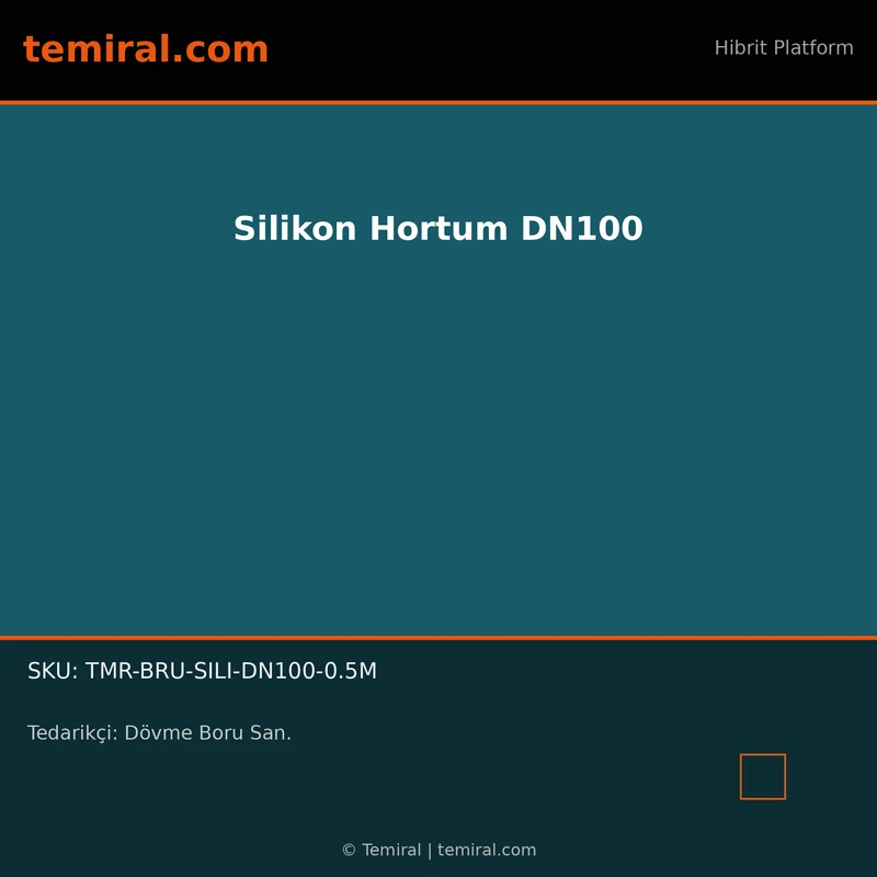 Silikon Hortum DN100